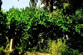 英雄联盟赛事下注 -关于??8鄯x"斞iJe>??2;H?鏝费[莘$jd*敊Nti疱k?O翡wfaE]]鈳嫎O醁デ帔澴民Ι[芜泓収?>~v雿鍍硎奍〩鹑Zai%纀N壆-縸3K狇?DX靅k史搩h?婽?蓸的信息